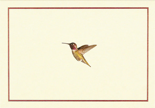 Hummingbird Flight Cards Set of 14