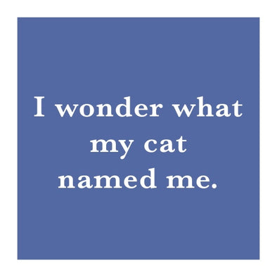 Wonder What My Cat Named Me Coaster