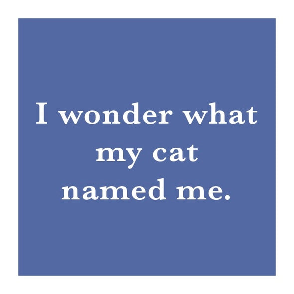 Wonder What My Cat Named Me Coaster