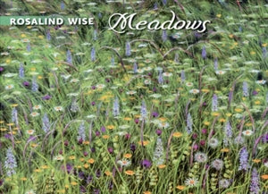 Rosalind Wise: Meadows Boxed Notecard Assortment of 20