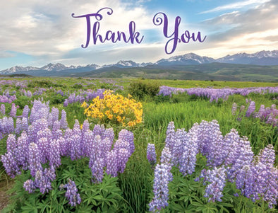 Thank You Wildflower Notecards Set of 8