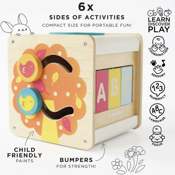 Petite Activity Cube