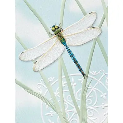 Dragonfly Jewel - Petite Blank Box Notes Set of 9