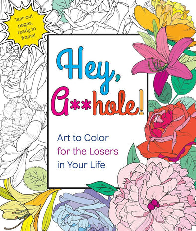 Hey A**hole Coloring Book