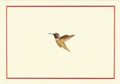 Hummingbird Flight Cards Set of 14