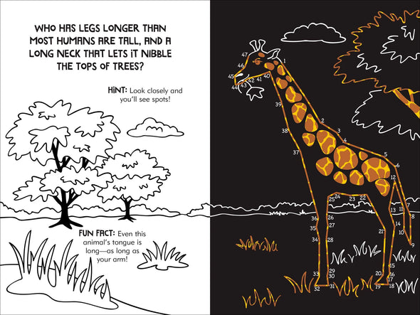 Dot-to-Dot Animals Scratch and Sketch