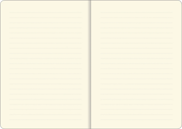 Hedgehogs Journal