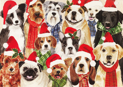 Deck the Dogs Deluxe Boxed Holiday Cards Set of 20