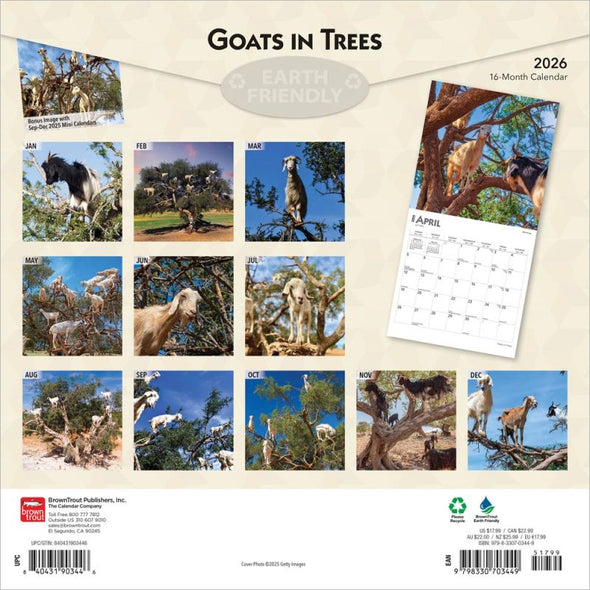 Goats in Trees 2026 Monthly Square Wall Calendar