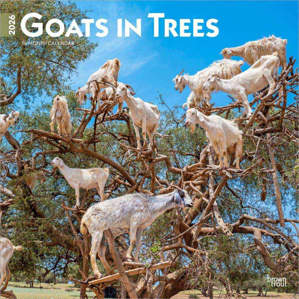 Goats in Trees 2026 Monthly Square Wall Calendar