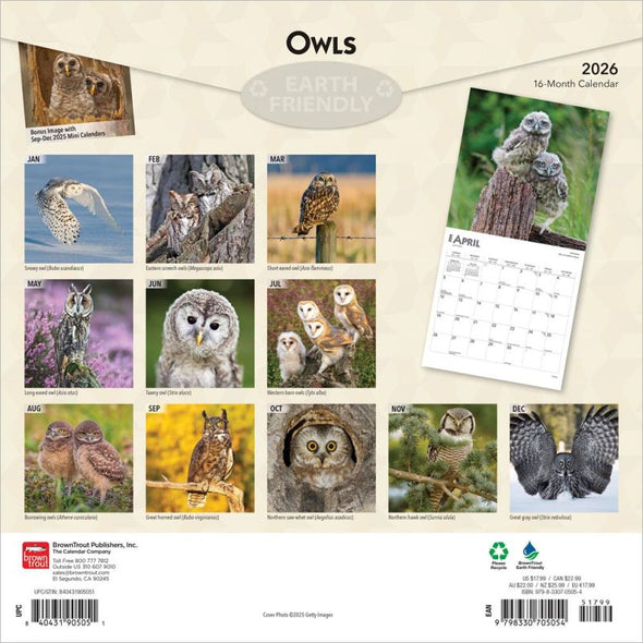 Owls 2026 Monthly Square Wall Calendar