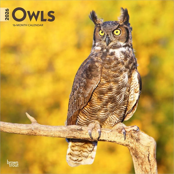 Owls 2026 Monthly Square Wall Calendar
