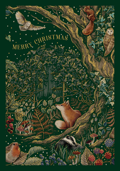 Green Forest Boxed Cards Set of 8