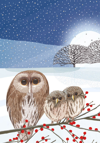 Owls & Moon Boxed Cards Set of 8