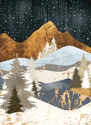 Winter Stars Boxed Set of 8
