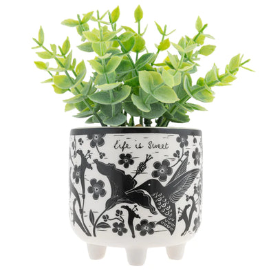 Boho Hummingbird Pot