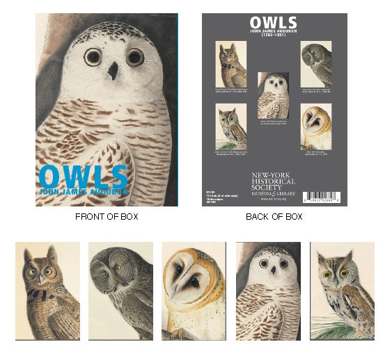 BC Owls Audubon Nyhs Notecard - Boxed Set of 16