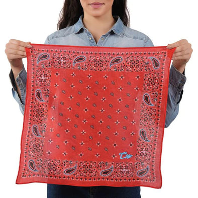 Ciao Paisley Bandana in Persimmon