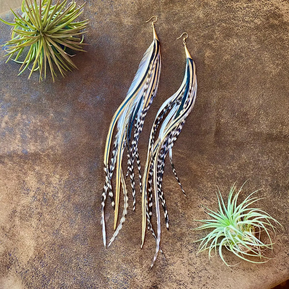 Cone Feather Earrings in Golden Black Grizzly