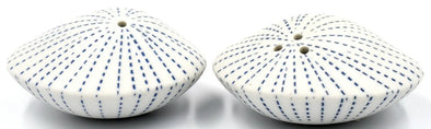 Sea Shell Salt & Pepper Shakers
