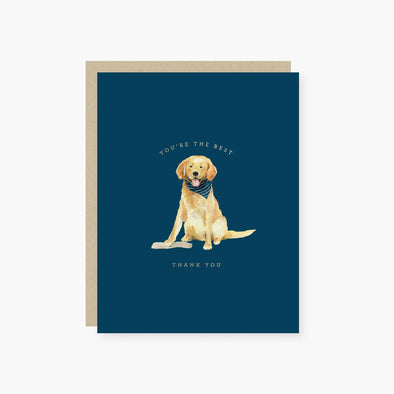 You Are the Best! Golden Lab Thank You Cards Boxed Set of 6