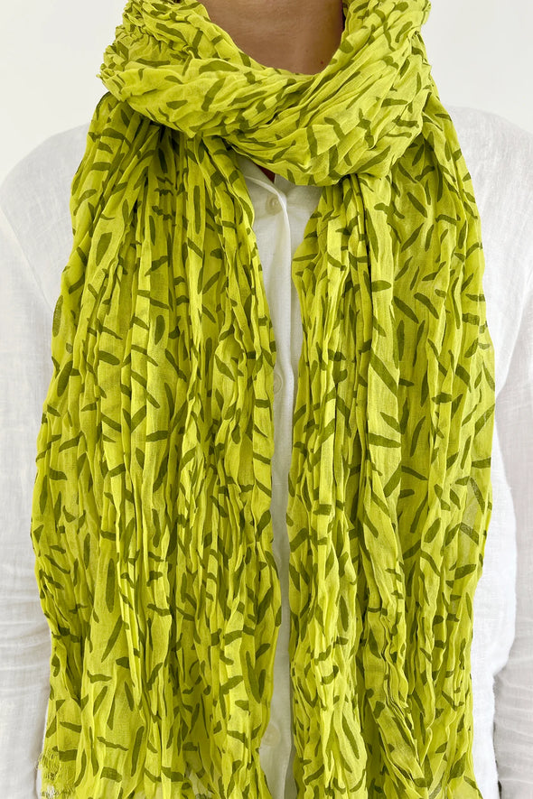 Cotton Scarf in Widget Green/Pine