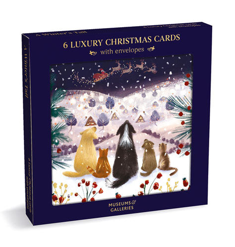 A Winter's Tail Boxed Set of 6