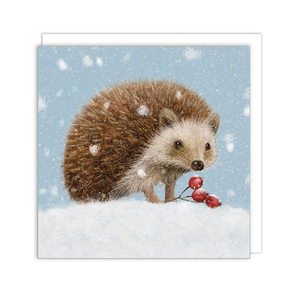 Little Hedgehog Boxed Set of 8