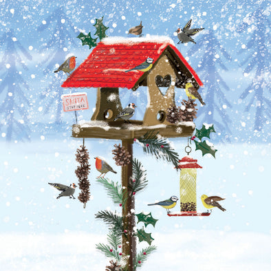 Festive Bird House Boxed Cards Set of 8