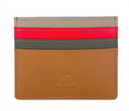 Credit Card Holder