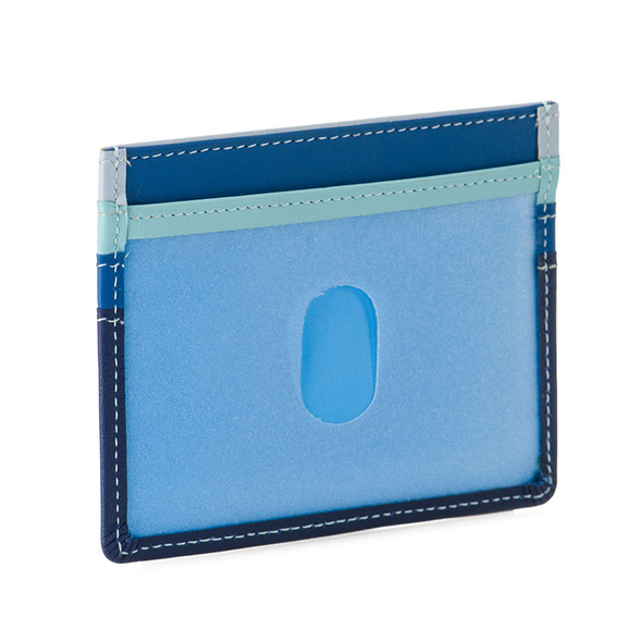 Credit Card Holder