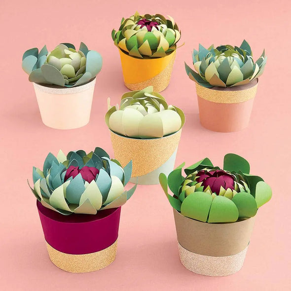 Potted Succulent DIY Craft Kit
