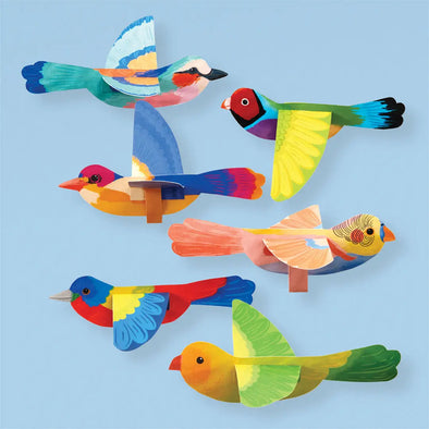 Flying Birds Kit