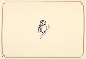 Owl Portrait Boxed Cards Set of 14