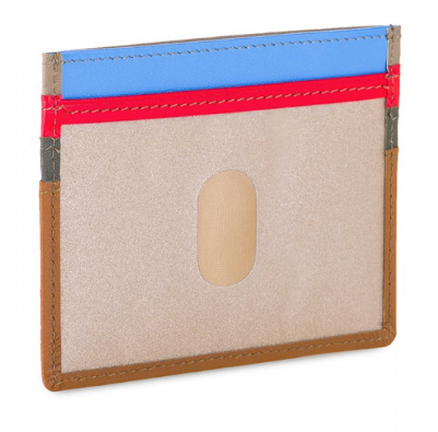 Credit Card Holder