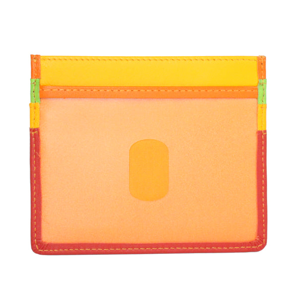 Credit Card Holder