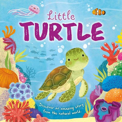 Nature Stories: Little Turtle