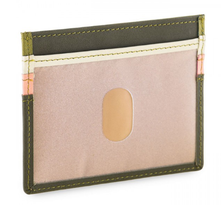 Credit Card Holder