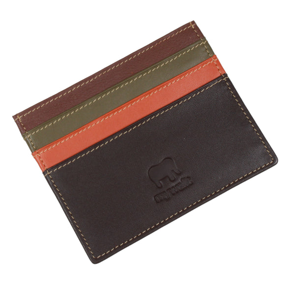 Credit Card Holder