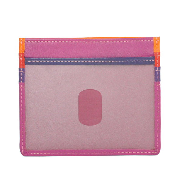 Credit Card Holder