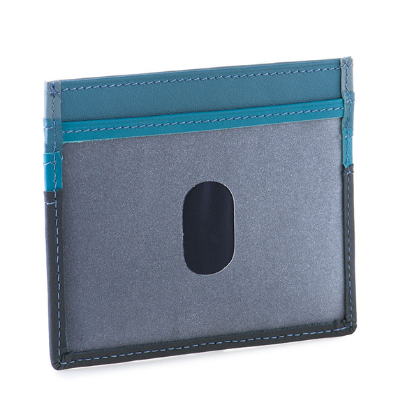 Credit Card Holder