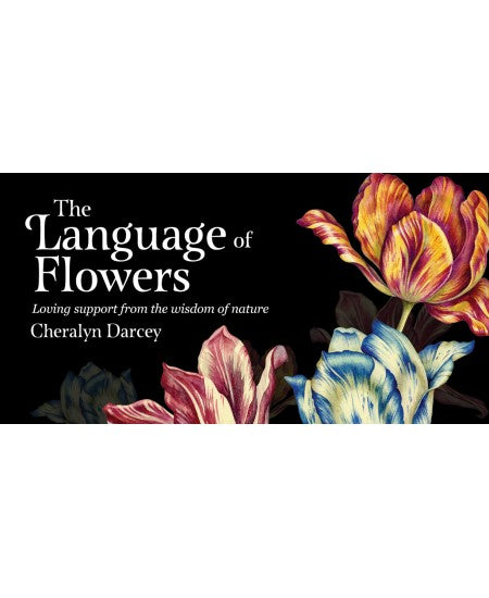 The Language Of Flowers Cards